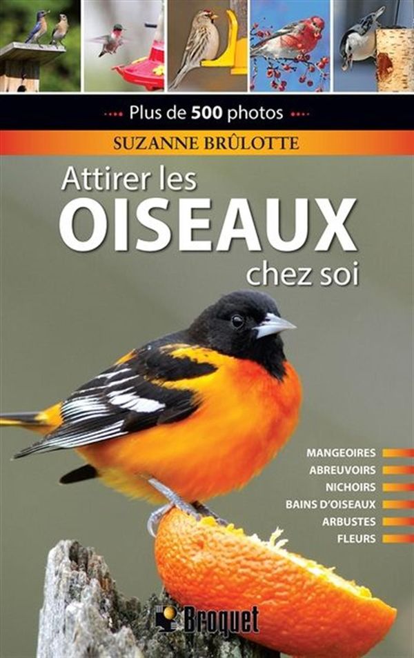 Attirer les oiseaux chez soi N.E.